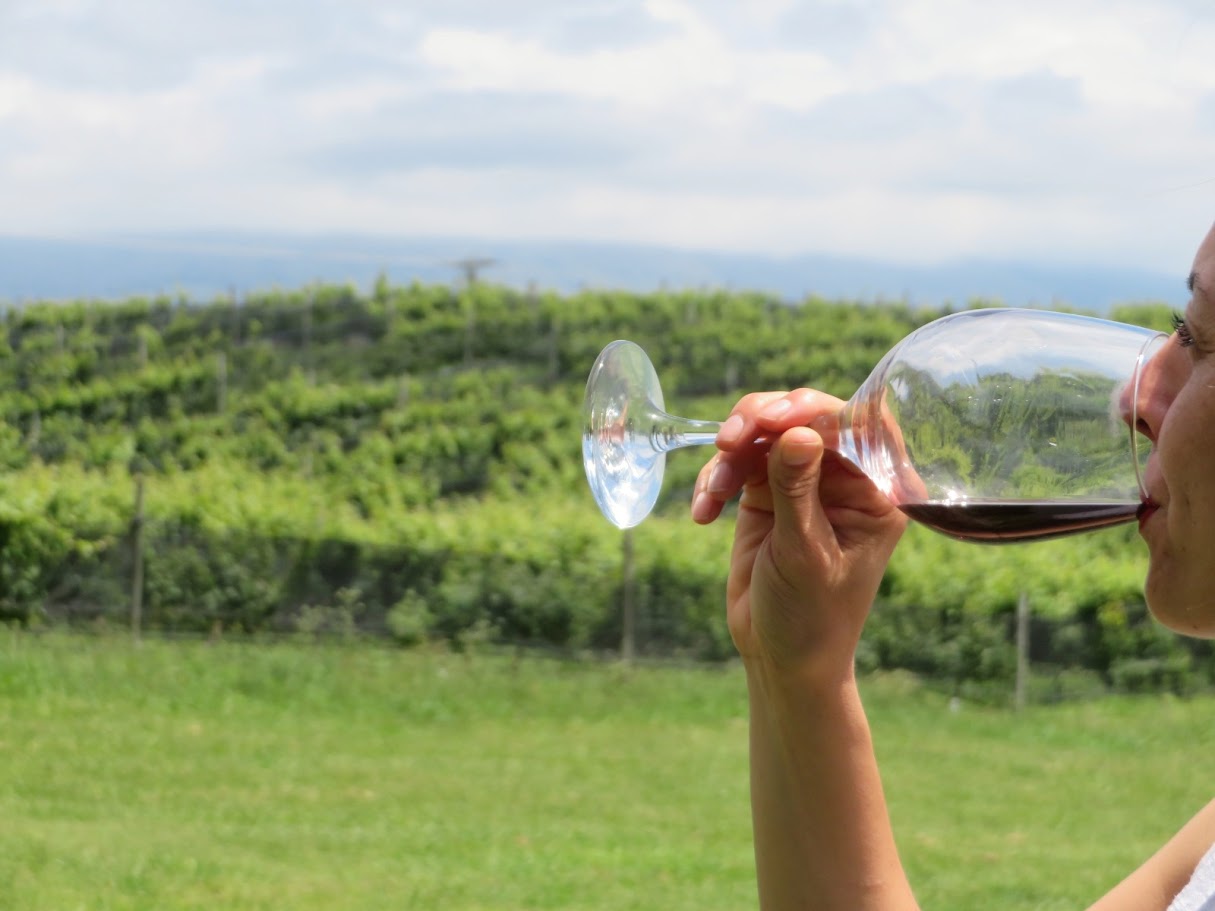 Brindando con una copa de vino frente a los viñedos de Juana Urbana
