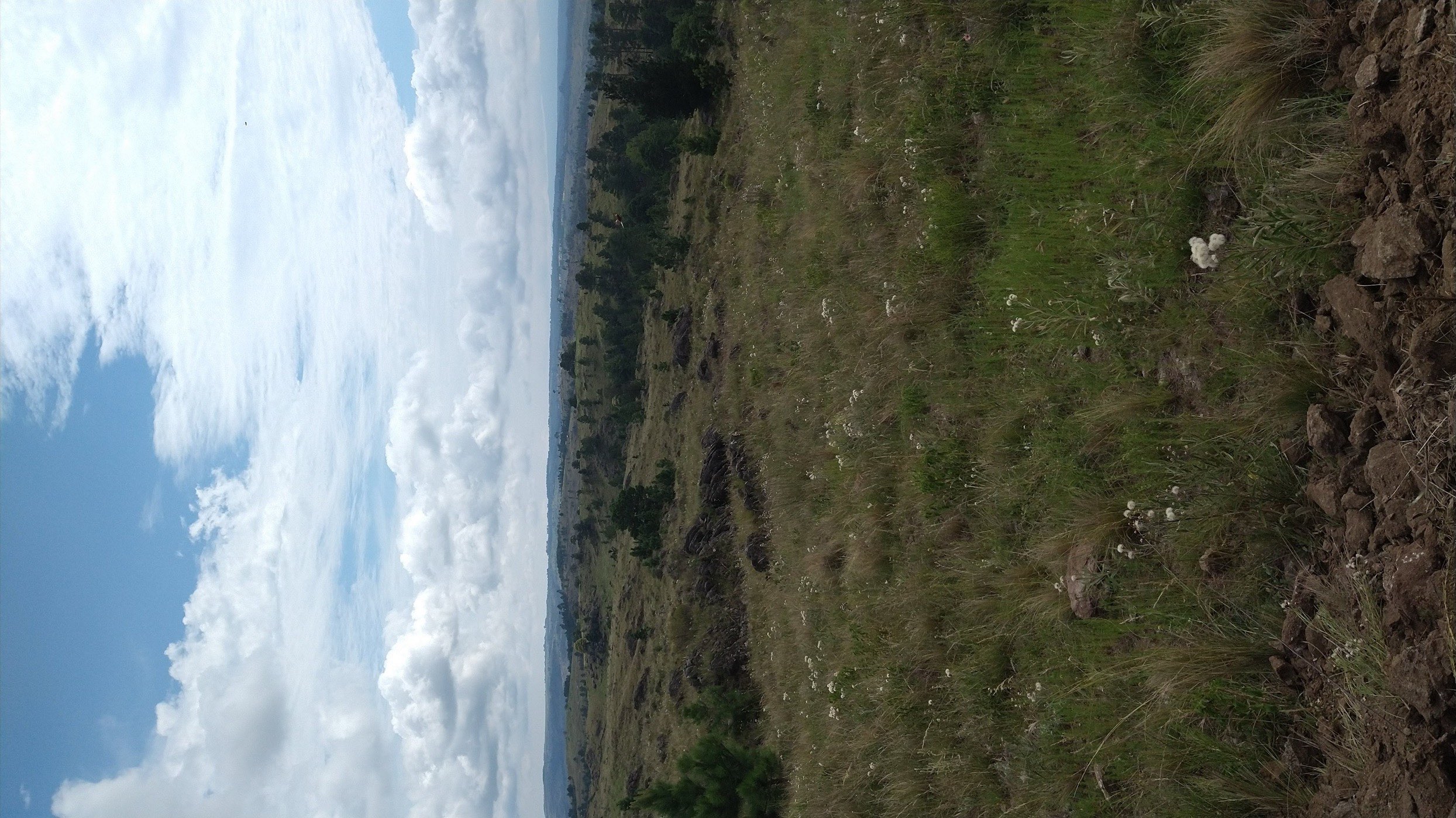Lote 3 · vista al valle desde la parcela